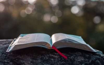 Bible – Basic Instructions Before Leaving Earth