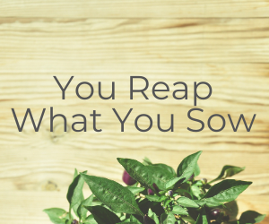 You Reap What You Sow