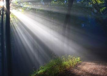 Verse Of The Day – I Am The Light
